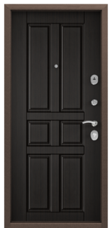 Дверь Torex Delta-M 10